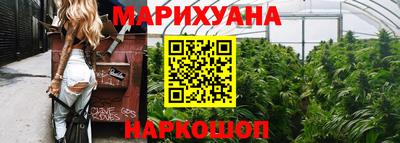 сатива Обь