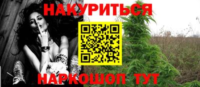 сатива Обь