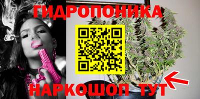 сатива Обь