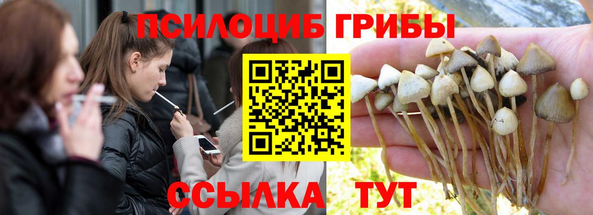 Тулун  Галлюциногенные грибы мухоморы  Вход с VPN 